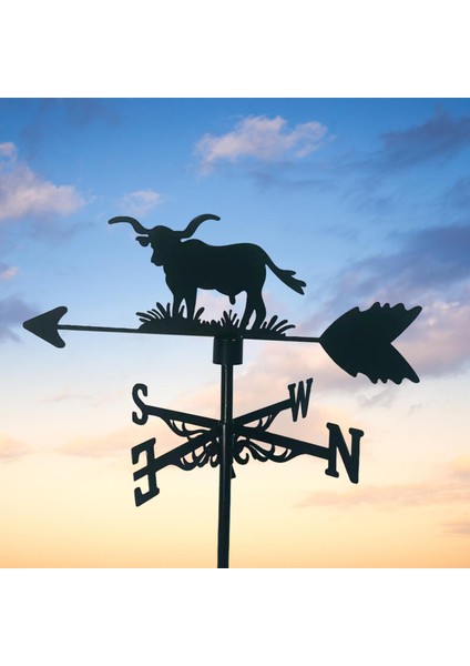 Weathervane Partisi Çatı Mounta Dış Mekan Süs (Yurt Dışından)