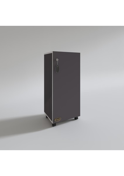 Kenzlife mutfak dolabı zehra 108*030*032 gri kilitli tekerlekli banyo evrak ofis kitaplık ayakkabılık kiler fırsatları