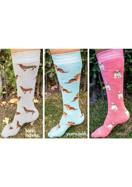 Ciho Socks Daily 3 Çift Kadın Tam Havlu Yumuşak Diz Altı Köpek Desen Renkli Kışlık Çorap