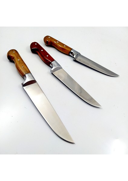 3 Lü Bıçak Seti Mutfakbıçağı Salata Bıçağı Et Bıçağı Sebze Bıçağı Hediyelik Bıçak Paslanmaz Bıçaklar modelleri