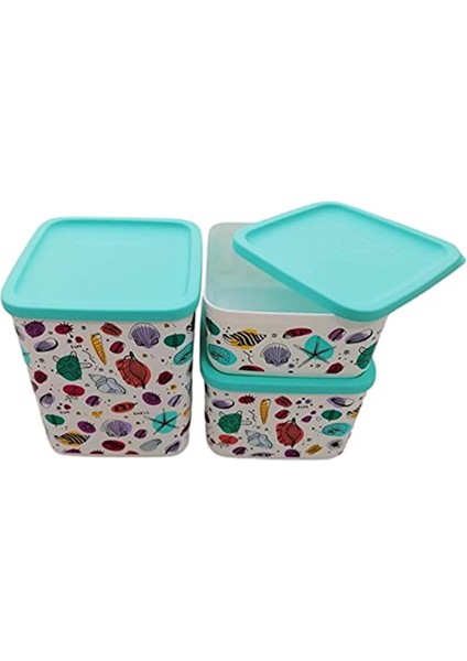 Cubix Seti (3) 1,8 Litre+1,0 LITRE+650 ml Yazlık Kabuk Saklama Teneke Kahve Tenekesi