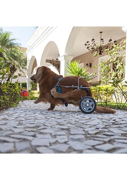 Chuckit! Ultra Ball Köpek Oyun Topu (Büyük Boy) indirimleri