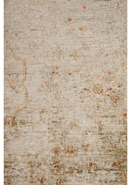 Overdye Exclusive 21001 168X235 Renkli El Dokuma Halı ~ 3.95 M2 indirimleri