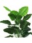 Yapay Çiçek Demet Pothos Yeşil 18DAL 70CM Salon Çiçeği Yapay Bitki 2