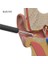Bebırd R1 Akıllı Görüntülü Kulak Içi Temizleyici Kablosuz Kameralı Kulak Otoskop temizleyici 4