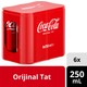 Coca-Cola Orijinal Tat Kutu 6X250 ML