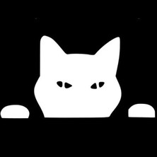 TSC Kedi Komik Surat Araba Sitcker Yapıştırması 20CM Beyaz
