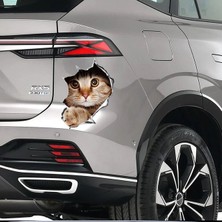 TSC Renkli Kedi Araba Sticker Yapıştırması 16CM