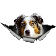 TSC Australian Shepherd Köpek Araba Sticker 18CM