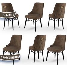 Canisa Concept Pare Serisi  Babyface Kumaş  6 Adet Sandalye Siyah Gürgen Ayak Gold Halkalı