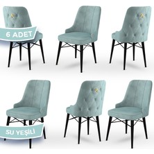 Canisa Concept Pare Serisi  Babyface Kumaş  6 Adet Sandalye Siyah Gürgen Ayak Gold Halkalı