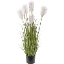 Nettenevime Yapay Çiçek Saksılı Salon Bitkisi Beyaz Püskül Grass Panpas