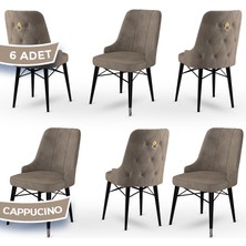 Canisa Concept Pare Serisi  Babyface Kumaş  6 Adet Sandalye Siyah Gürgen Ayak Gold Halkalı