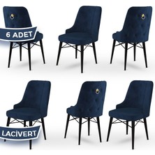 Canisa Concept Pare Serisi  Babyface Kumaş  6 Adet Sandalye Siyah Gürgen Ayak Gold Halkalı