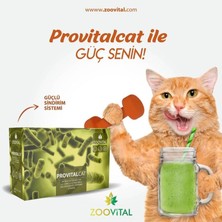 Provital Cat Prebiyotik Probiyotik   Tamamlayıcı Yem 12 Şase (12X1,5 Gr)