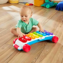 Fisher-Price Fisher Price Işıklı Dev Ksilofon HJK36