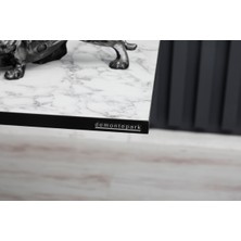 Demontepark  60 x 100 cm  Katlanır Masa Kamp Masası Karavan Masası Mutfak Masası Balkon Masası Çalışma Masası Beyaz