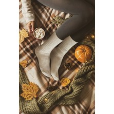 Pallmali Bio Naturel %100 Pamuk 5 Çift Ön Yıkamalı Dikişsiz Unisex Çorap 3103