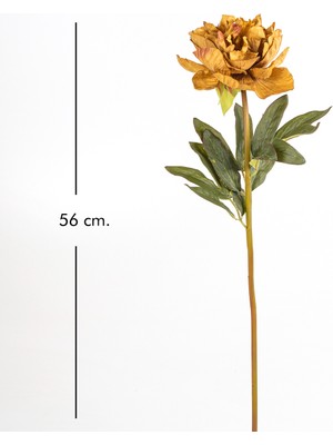 Herdekora Yapay Çiçek Şakayık Dalı Kahverengi 56 Cm.