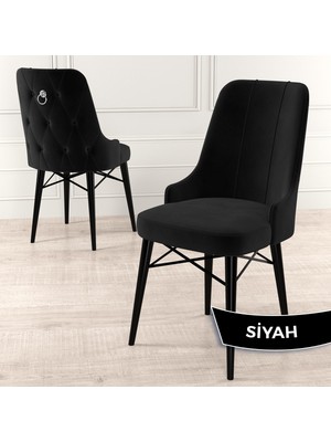 Canisa Concept Pare Serisi  Babyface Kumaş Yemek Odası Sandalye  Siyah Gürgen Ayak Gümüş Halkalı