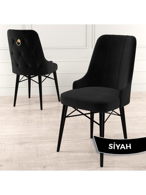 Canisa Concept Pare Serisi  Babyface Kumaş Yemek Odası Sandalye  Siyah Gürgen Ayak Gold Halkalı