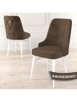 Canisa Concept Pare Serisi  Babyface Kumaş Yemek Odası Sandalyesi Beyaz Gürgen Ayak Gold Halkalı