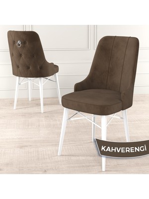 Canisa Concept Pare Serisi  Babyface Kumaş Yemek Odası Sandalyesi Beyaz Gürgen Ayak Gümüş Halkalı