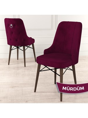 Canisa Concept Pare Serisi  Babyface Kumaş Yemek Odası Sandalyesi Ceviz Gürgen Ayak Gümüş Halkalı