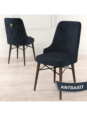 Canisa Concept Pare Serisi  Babyface Kumaş Yemek Odası Sandalyesi Ceviz Gürgen Ayak Gold Halkalı