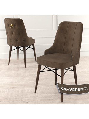 Canisa Concept Pare Serisi  Babyface Kumaş Yemek Odası Sandalyesi Ceviz Gürgen Ayak Gold Halkalı