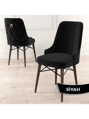 Canisa Concept Pare Serisi  Babyface Kumaş Yemek Odası Sandalyesi Ceviz Gürgen Ayak Gold Halkalı