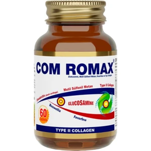 Romax Glucosamine Chondroitin Msm 60 Tablet 8698679000395