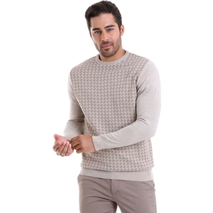 Bej Regular Fit Yünlü Desenli Bisiklet Yaka Triko Kazak