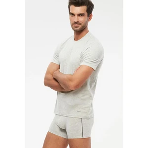 2'li Gri Bisiklet Yaka Basic Erkek Tshirt