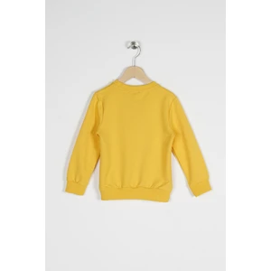 ZepkidsKız Çocuk Fashion Fragment Apikeli Sweatshirt 3-7 Yaş
