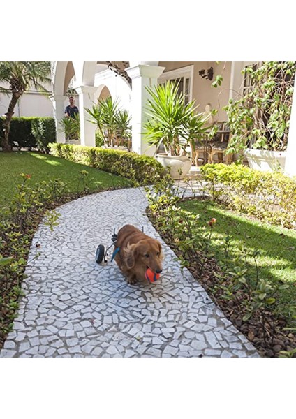 Chuckit! Ultra Ball Köpek Oyun Topu (Büyük Boy) fırsatları