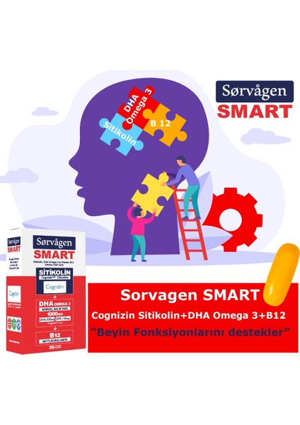 Smart Sitikolin, Dha Omega 3 ve B12 (30 Kapsül) - 2 Adet