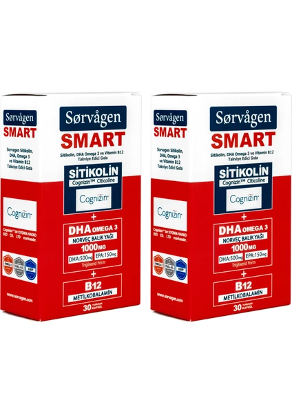 Smart Sitikolin, Dha Omega 3 ve B12 (30 Kapsül) - 2 Adet