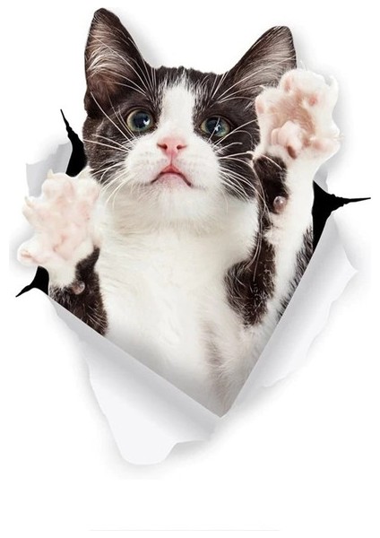 Kedi Oto Araba Sticker Yapıştırması 18CM Renkli