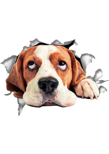 Köpek Araba Sticker Yapıştırması Renkli 20CM