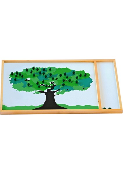 Montessori Elma Ağacı Oyunu