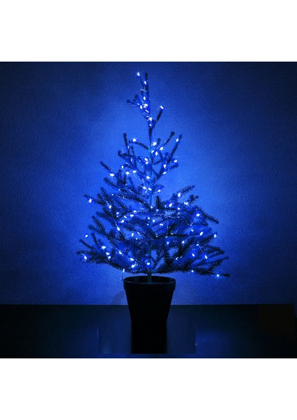 10 Metre Mavi Pilli LED Işık Mavi LED Işık Mavi Yılbaşı Ağacı Işığı Mavi Noel Işığı 100 Ledli Mavi LED Işık 100 Ledli Parlak Canlı LED Işık fırsatları