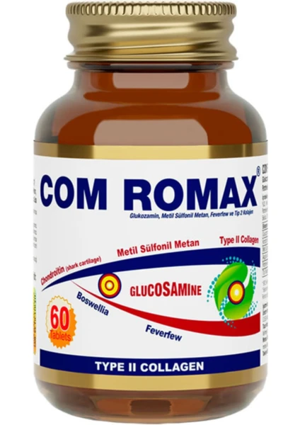 Romax Glucosamine Chondroitin Msm 60 Tablet 8698679000395