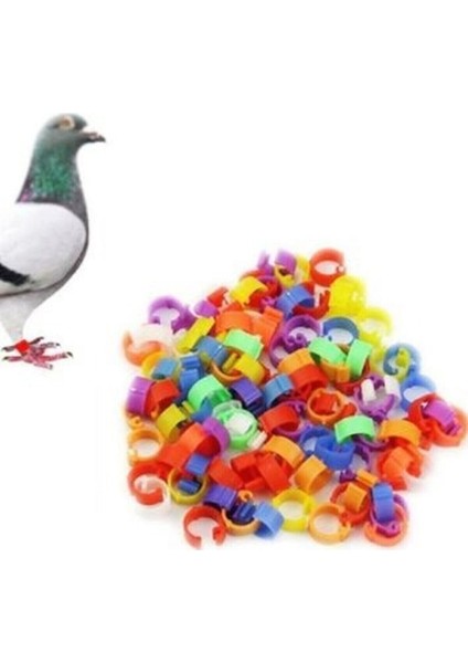 Güvercin Halkası 1000 Adet fiyatları