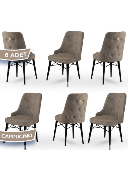 Concept Pare Serisi Babyface Kumaş 6 Adet Sandalye Siyah Gürgen Ayak Gold Halkalı