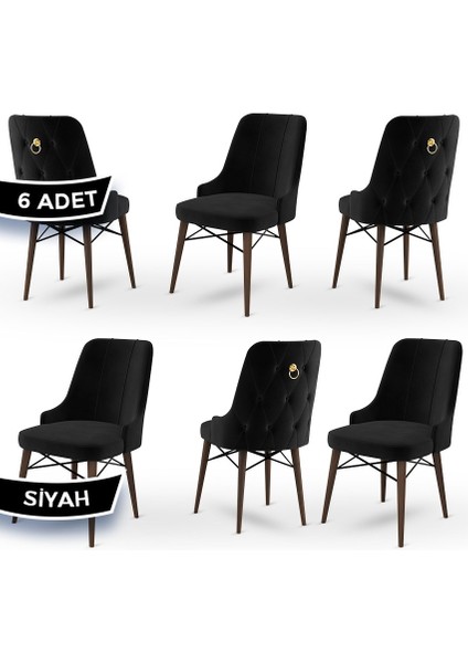 Concept Pare Serisi Babyface Kumaş 6 Adet Sandalye Ceviz Gürgen Ayak Gold Halkalı