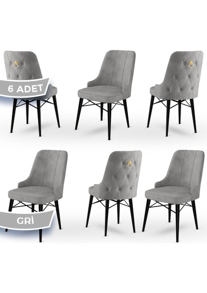 Concept Pare Serisi Babyface Kumaş 6 Adet Sandalye Siyah Gürgen Ayak Gold Halkalı