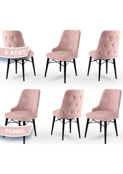 Concept Pare Serisi Babyface Kumaş 6 Adet Sandalye Siyah Gürgen Ayak Gold Halkalı
