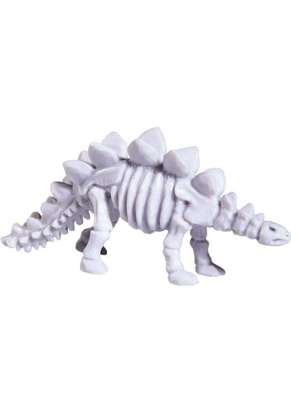 Kazıcı Dinoskeletonlar Stegosaurus