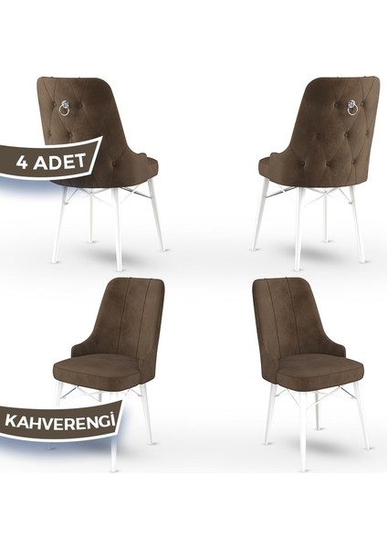 Concept Pare Serisi, 1.sınıf Babyface Ithal Kumaş 4 Adet Sandalye, Beyaz Gürgen Ayak, Gümüş Halkalı